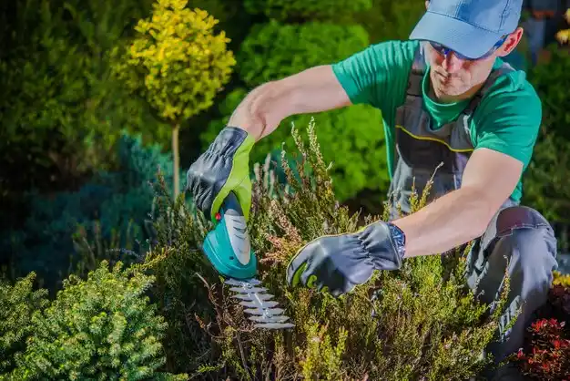 landscaping services Summersville